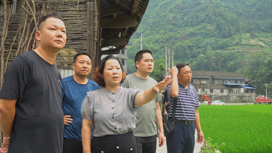 图片3.png 湘西州创业导师团走进吉首市坪朗村助力乡村振兴(图3)