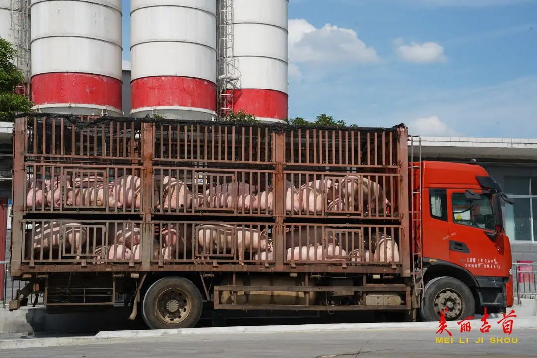 “贷”动创业梦想 托起就业民生|吉首市创业担保贷款存量突破亿元大关!(图6) “贷”动创业梦想 托起就业民生|吉首市创业担保贷款存量突破亿元大关!(图6)