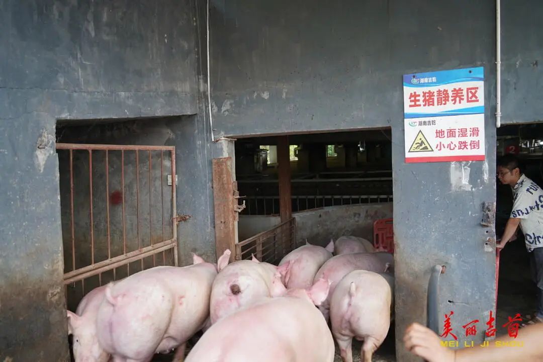 “贷”动创业梦想 托起就业民生|吉首市创业担保贷款存量突破亿元大关!(图7) “贷”动创业梦想 托起就业民生|吉首市创业担保贷款存量突破亿元大关!(图7)