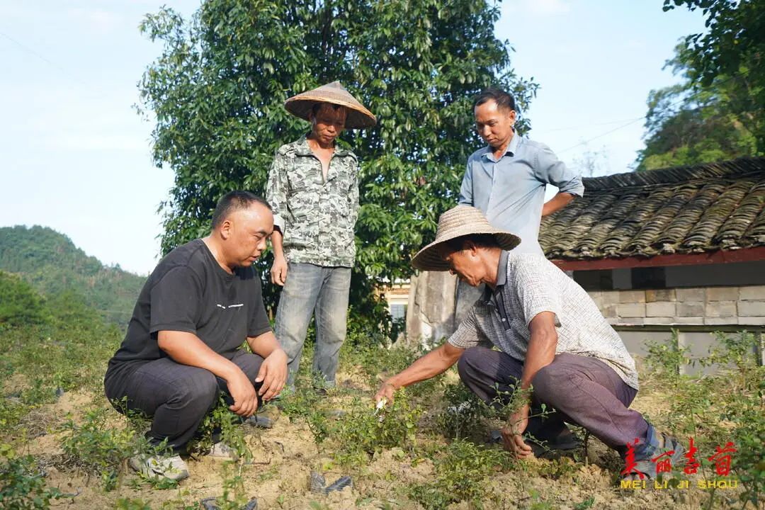 “贷”动创业梦想 托起就业民生|吉首市创业担保贷款存量突破亿元大关!(图16) “贷”动创业梦想 托起就业民生|吉首市创业担保贷款存量突破亿元大关!(图16)