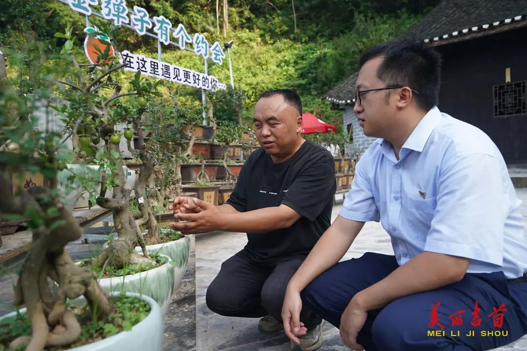 “贷”动创业梦想 托起就业民生|吉首市创业担保贷款存量突破亿元大关!(图13) “贷”动创业梦想 托起就业民生|吉首市创业担保贷款存量突破亿元大关!(图13)