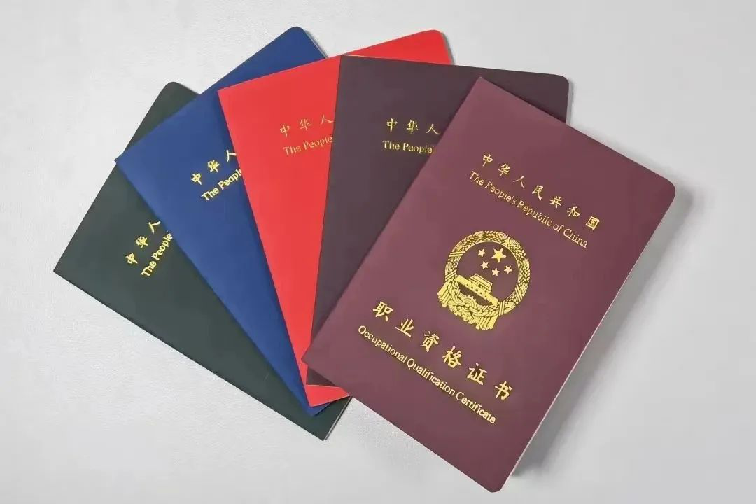 超实用!职业资格证书、职业技能等级证书这么查(图6) 超实用!职业资格证书、职业技能等级证书这么查(图6)