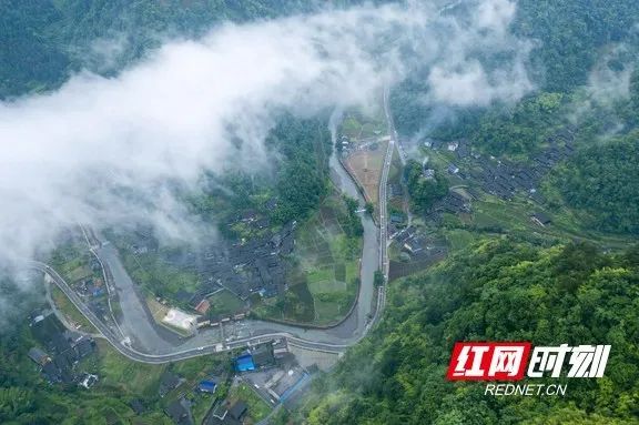 吉首市:办好民生实事书写“幸福答卷”(图3) 吉首市:办好民生实事书写“幸福答卷”(图3)