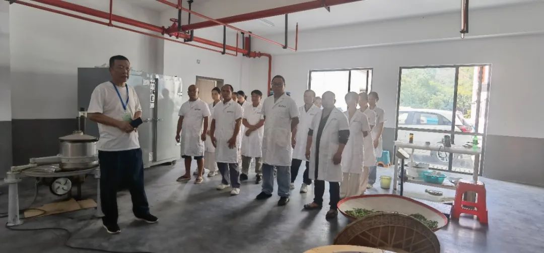 吉首市人社部门牵头组织开展茶叶加工工培训(图1) 吉首市人社部门牵头组织开展茶叶加工工培训(图1)