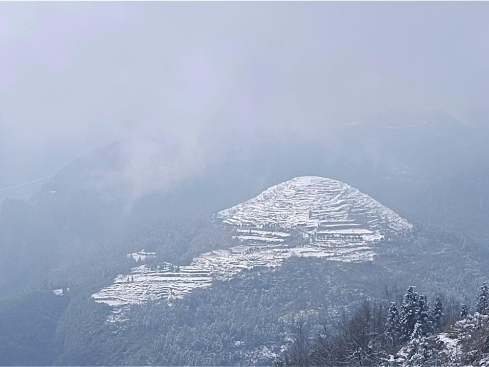 1-240P213363K21.jpg 吉首宝福农业有限公司(图1)