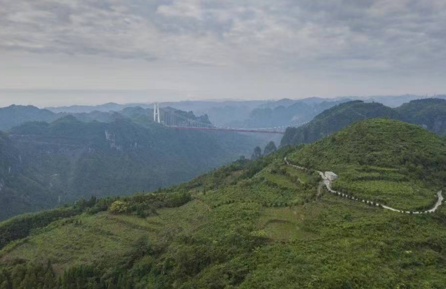 1-240P2133631E6.jpg 吉首宝福农业有限公司(图2)