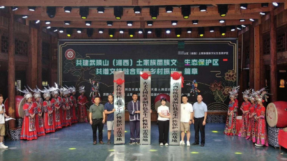 大坛好泡菜 非遗原生态(图10) 大坛好泡菜 非遗原生态(图10)